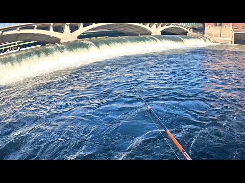 Видео: На этой плотине в Айове водится множество рыбы!