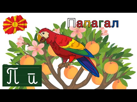 Видео: Буква П - Печатно и Ракописно Кирилица | Bukva P | Македонска Азбука