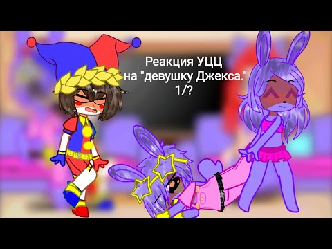Видео: Реакция УЦЦ на "девушку Джекса."1/?