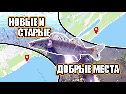 Видео: Рыбалка на ОКЕ! Спиннинг в забродку в Нижнем Новгороде! Изучаем новые места, и ловим на старых!