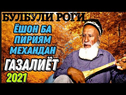 Видео: булбули роги!! чавонон ба пириам механданд газалиёт бахри шумо дустон нав 2021с