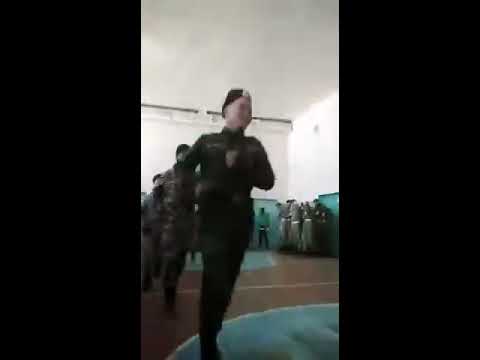 Видео: Ломоносов Мектеби 2004-тор