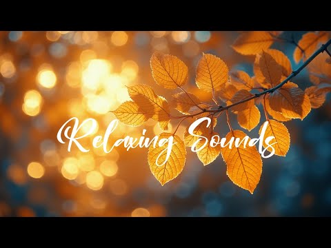Видео: Autumn Leaves & Guitar Piano Music ~ Уютные осенние мелодии для релаксации и учебы