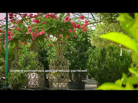 Видео: О компании Flowers Garden