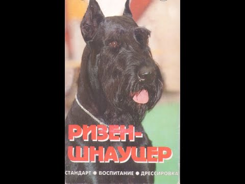 Видео: Видеоматериалы по дрессировке собак. Ризеншнауцер и другие.