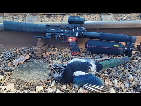 Видео: Примерка и пристрелка. Леший 2 и призматический прицел Vector Optics Paragon 4x24 Micro Prism Scope.
