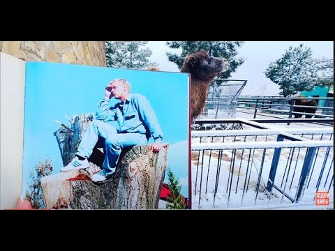 Видео: Читая Олега Зубкова! Детство будущего Человека-льва!