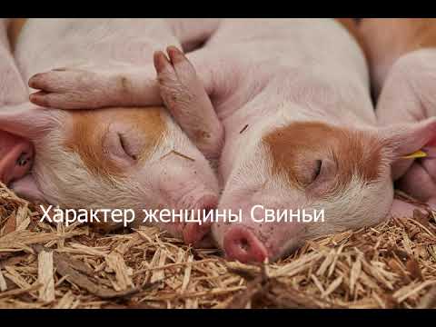 Видео: Женщина рождённая в год Свиньи