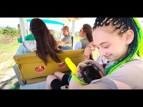 Видео: Люся поднялась на Гору Славы вместе с большой семьёй Запашных!