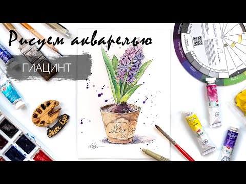 Видео: Рисуем гиацинт в горшочке. Уроки рисования для новичков. Акварельный скетчинг