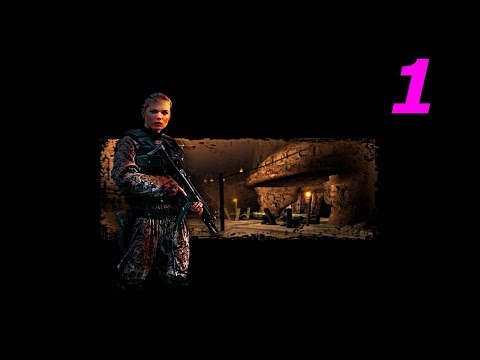 Видео: Прохождение Нина: Дневники спецагента #1