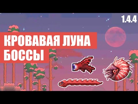 Видео: ВСЁ О БОССАХ КРОВАВОЙ ЛУНЫ В TERRARIA !