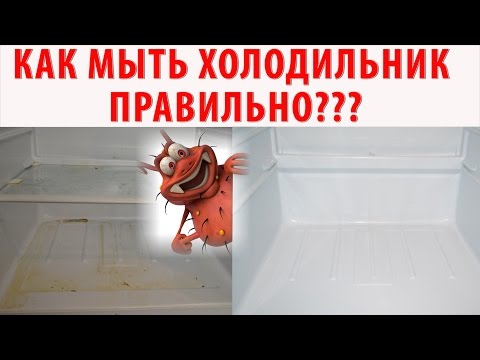 Видео: КАК ПОМЫТЬ ХОЛОДИЛЬНИК ИДЕАЛЬНО?! Генеральная уборка холодильника. Убираем плесень, грязь.