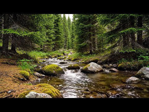 Видео: Звуки реки для глубокого сна – нежная текущая вода успокаивает разум и улучшает качество сна – 3