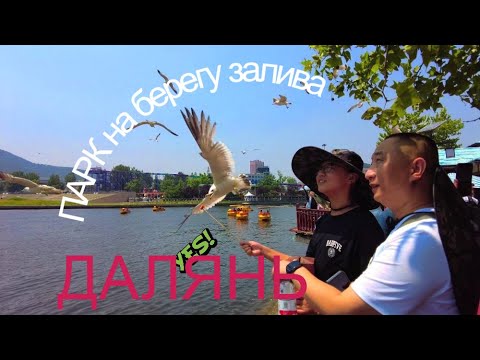 Видео: #ДАЛЯНЬ #ПТИЧИЙ ЛЕС и  МОРСКОЙ парк Лаохутань