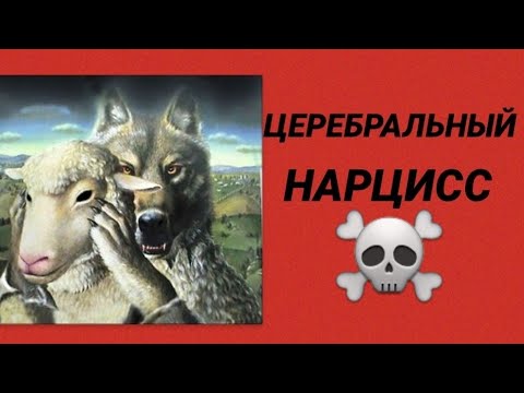 Видео: ЦЕРЕБРАЛЬНЫЙ НАРЦИСС / ПОЧЕМУ Я ПОВЕЛАСЬ НА НАРЦИССА #нарцисс #черныйпион #психология