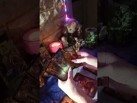Видео: Оракул скажет Вам Правду🤔👁️💥💫💞🌹🔥💯🎁❤️🙏