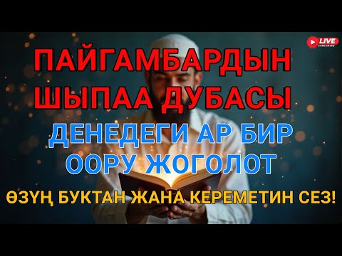 Видео: ДАРЫСЫ ЖОК ООРУГА ШЫПАА! Бул дуба менен керемет мүмкүн! ✨