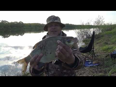 Видео: Лещ начал Брать! Рыбалка в Мае на Оке 2025