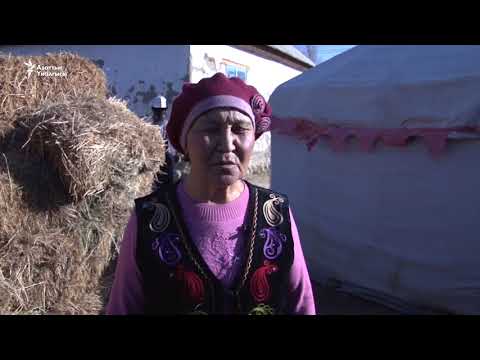 Видео: Барскоондо баптисттин сөөгүн көмдүрбөй коюшту