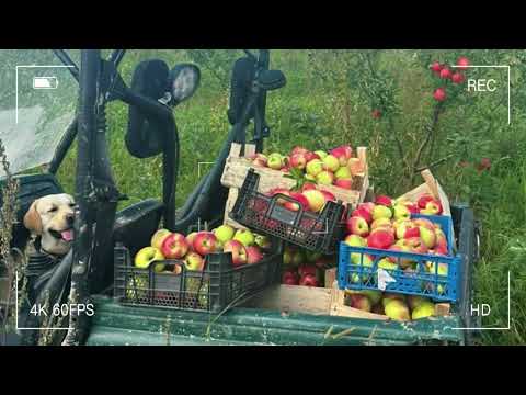 Видео: Коломна (129ГА)  - Продажа