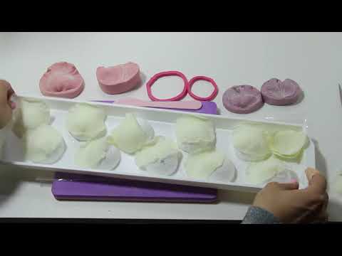 Видео: 2 часть 1 глава -Три сорта бутона роз.