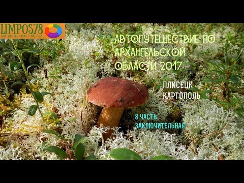 Видео: 8 ЧАСТЬ  Автопутешествие по Архангельской области и Белому морю 2017