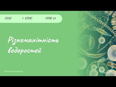 Видео: Різноманітність водоростей