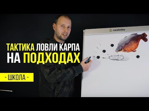 Видео: Тактика ловли карпа на подходах. Стратегия в карпфишинге. Урок 1