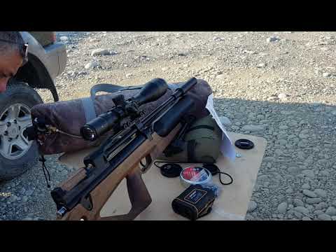 Видео: JAЕGER BULLPAP 25саl-4,2гр пули-112м МЕНЕЕ МИНУТЫ.