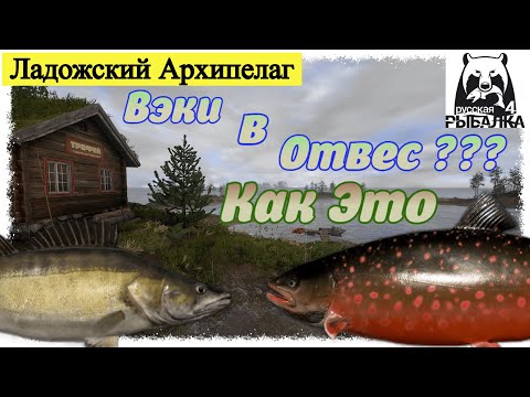 Видео: Russian Fishing 4, Ладожский Архипелаг - Вэки, Палия. Русская рыбалка 4 #рр4