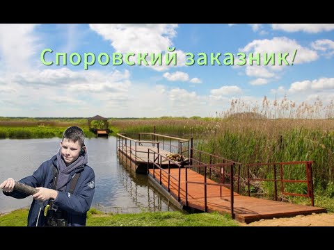 Видео: Споровский заказник! Прогулка по болоту!