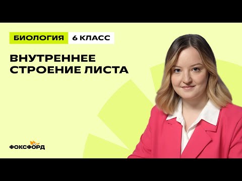 Видео: Внутреннее строение листа | Биология 6 класс | Домашняя школа Фоксфорда