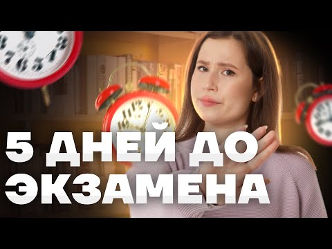 Видео: Сдаём итоговое собеседование! 5 лайфхаков для уверенного прохождения | Русский язык ОГЭ | Умскул
