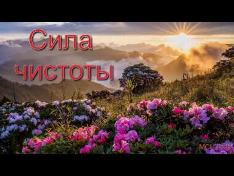 Видео: "Сила чистоты" А. Н. Оскаленко. МСЦ ЕХБ.