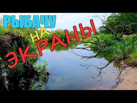 Видео: Рыбалка На Экраны В Корчах На Реке.