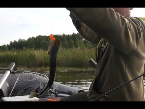 Видео: Ловля щуки в июле