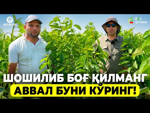 Видео: НОРЧОНТОЛ КЎЧАТЗОРИГА САЁҲАТ! | ШУҲРАТ АБРОРОВ #shuhratabrorov #norchontol #kochatzor