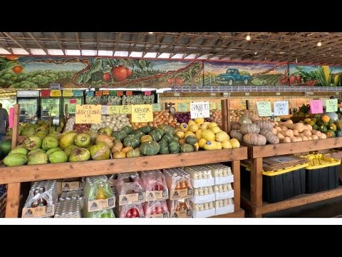 Видео: 🇬🇾🇺🇸Продолжаются каникулы во Флориде. 2025 🇺🇸🇬🇾Отправляюсь в Окалу к моей тёте 🇬🇾🇺🇸