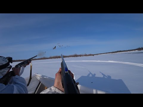 Видео: УДАЧНАЯ ОХОТА НА ГУСЯ В ЯКУТИИ - СЕЗОН 2024: 1 ЧАСТЬ. GOOSE HUNTING YAKUTIA