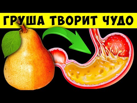 Видео: Вот почему сейчас все скупают Грушу! Даже 1 Груша Способна на такое...