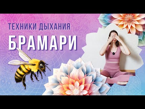 Видео: Брамари (Бхрамари) пранаяма. Техника выполнения, польза, противопоказания | Разбор техники дыхания