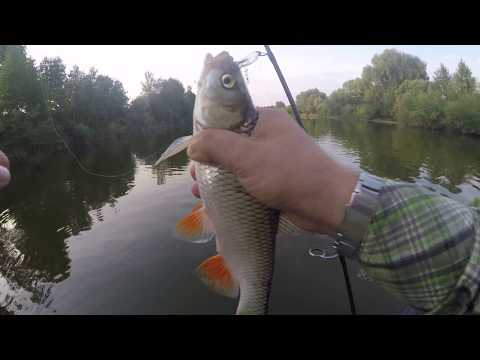Видео: Воблер Kosadaka Raven  спас рыбалку.
