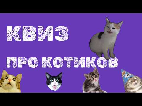 Видео: Микро-квиз. Котики. 20 Вопросов.