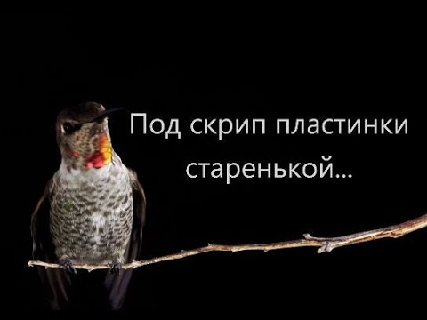 Видео: Под скрип пластинки старенькой..