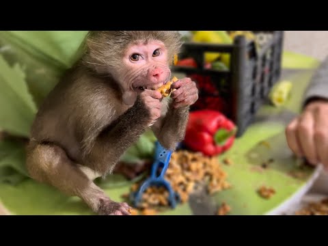 Видео: УХАХАТАЙКА! Приступ величайшей жадности у Люськи продолжается)))