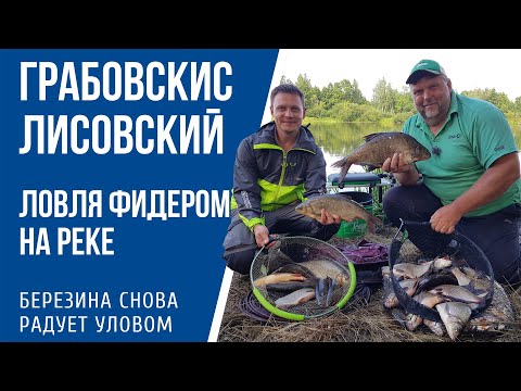 Видео: Ловля фидером на реке с Нормундом Грабовскисом