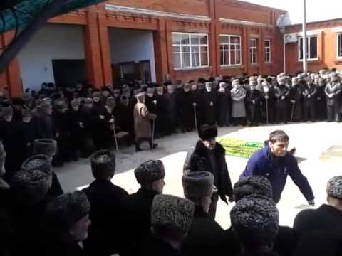 Видео: муса тязет