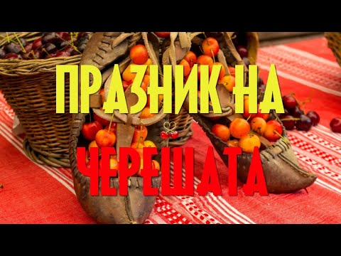 Видео: Празник на черешата - Кюстендил, България - 2022  / Cherry Festival - Kyustendil, Bulgaria - 2022