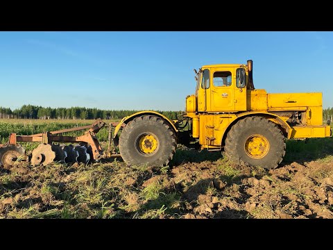 Видео: Лучший способ разработки целины. Кировец+мелиоративная борона.